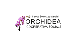 Orchidea